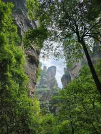 Zhangjiajie National Forest Park 