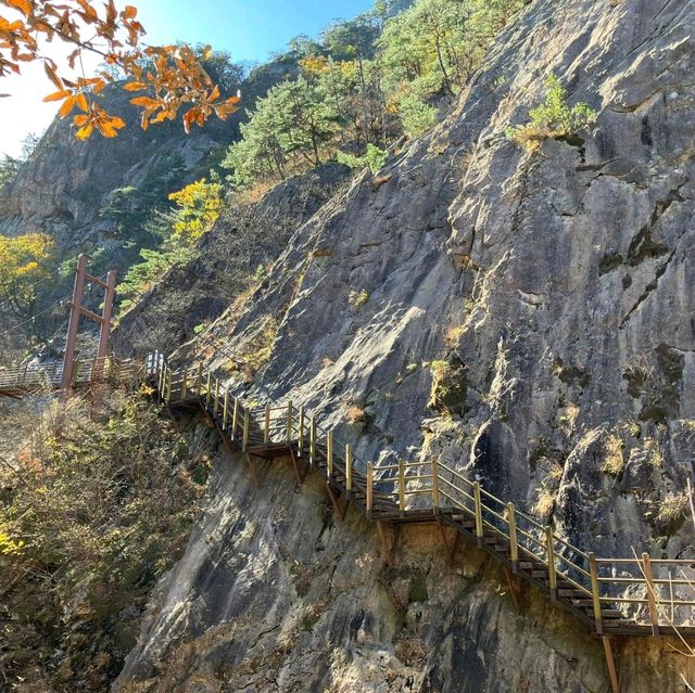 Seoraksan Awaits: Discover Korea's Majestic Mountain Paradise!