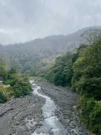 Taipingshan🍃 Nature’s Hidden Masterpiece