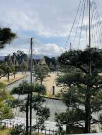 【福島×冬の旅】東北屈指の名城  デジタルアートで歴史体験
