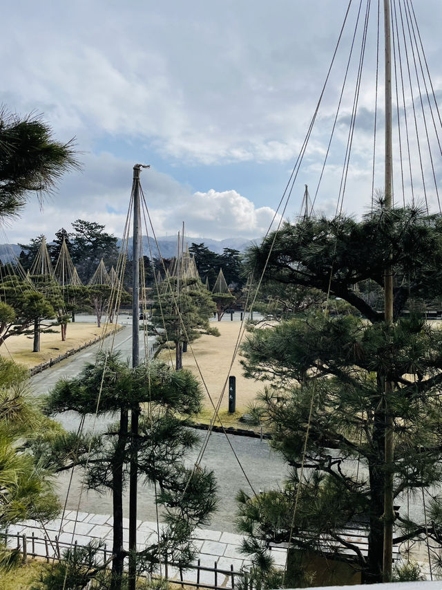 【福島×冬の旅】東北屈指の名城  デジタルアートで歴史体験