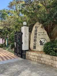 Macao Giant Panda Pavilion 