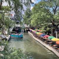 Catch Venice Vibes in San Antonio, Texas!
