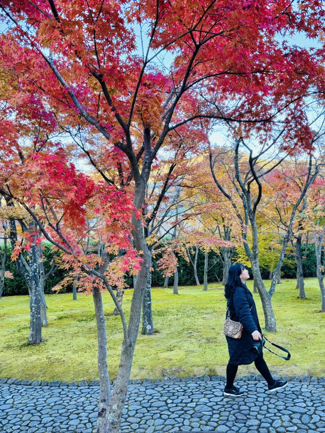 《箱根》箱根美術館で庭園散策