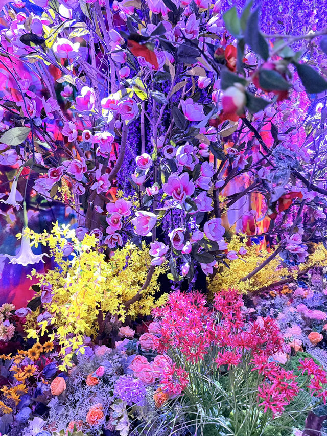 京都 ❤︎ 話題のここ行った⁉️まるで異世界の色彩美💐 