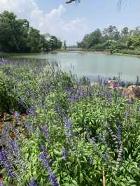 Kandawgyi Garden Pyin Oo Lwin