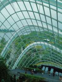 Cloud Forest ที่เที่ยวสิงคโปร์ห้ามพลาด