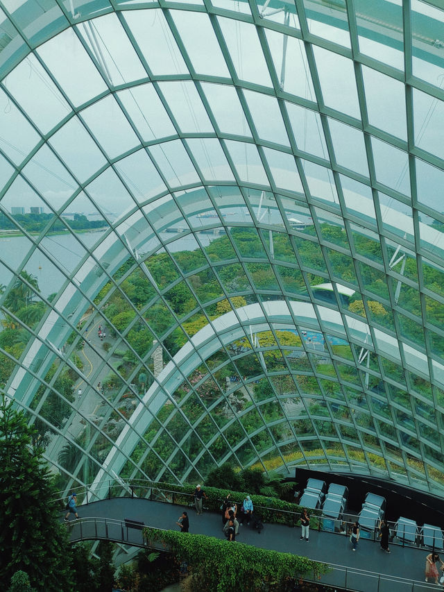 Cloud Forest ที่เที่ยวสิงคโปร์ห้ามพลาด