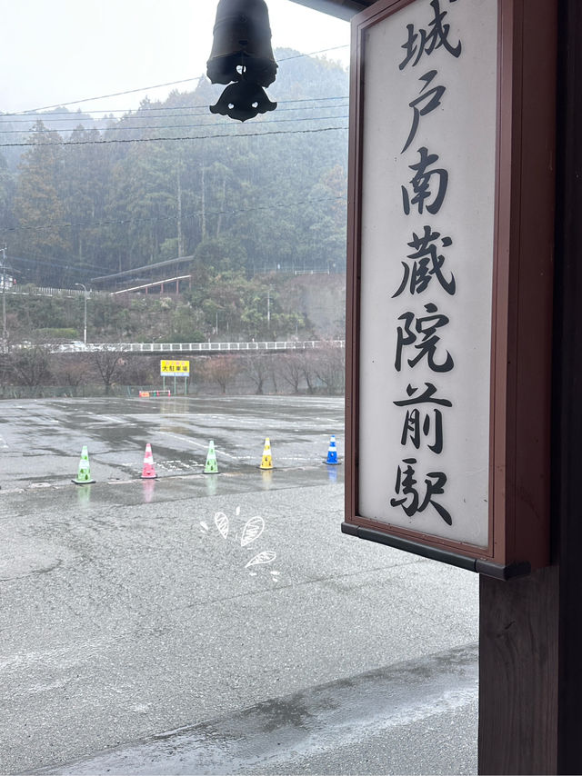 Nanzoin Temple | Fukuoka | Japan 🇯🇵