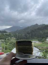 One of the famous and scenic tea plantations in Malaysia 
