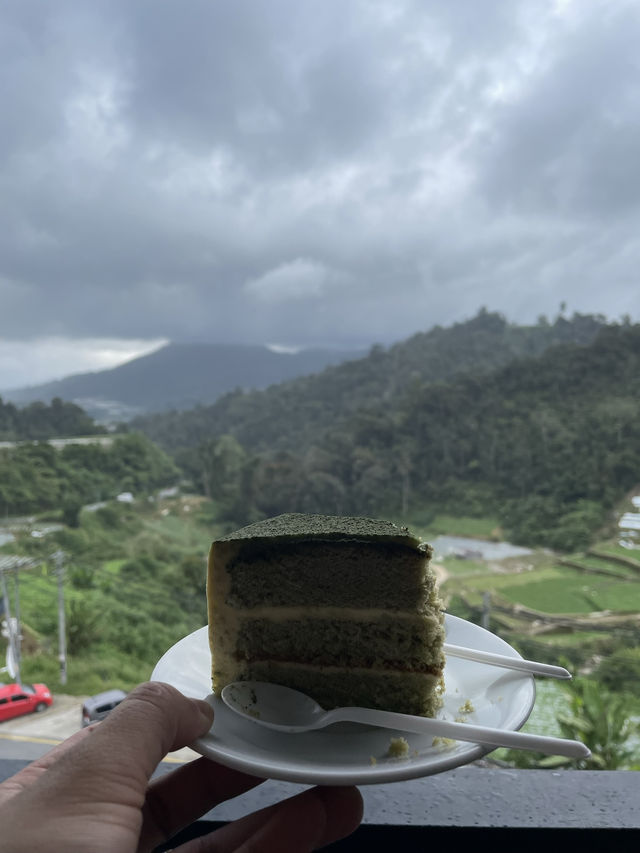 One of the famous and scenic tea plantations in Malaysia 