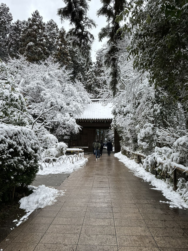 【宮城×冬の旅】   瑞鳳殿の手前のお寺  可愛いお地蔵さんが並んでいます