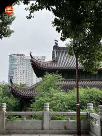 หอนกกระเรียนเหลือง - อู๋ฮั่น🇨🇳