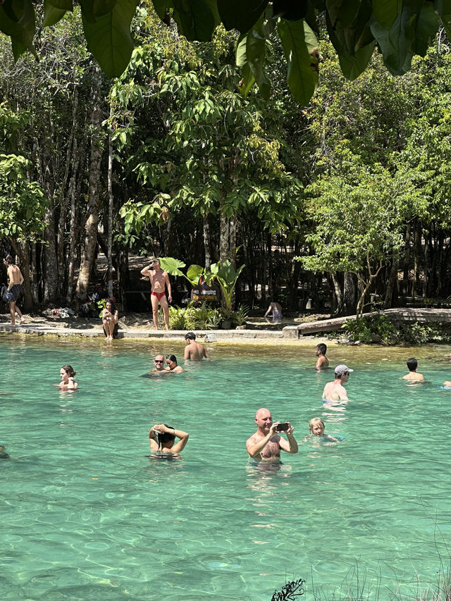 EMERALD POOL - Krabi, Thailand