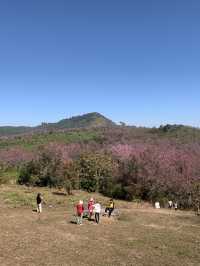 ภูลมโล (อุทยานภูหินร่องกล้า)