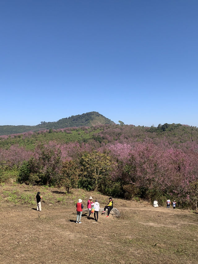 ภูลมโล (อุทยานภูหินร่องกล้า)