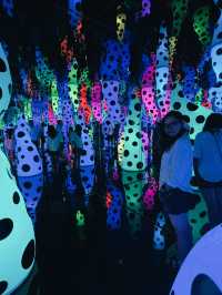 Yayoi Kusama Exhibition in Melbourne Until April
