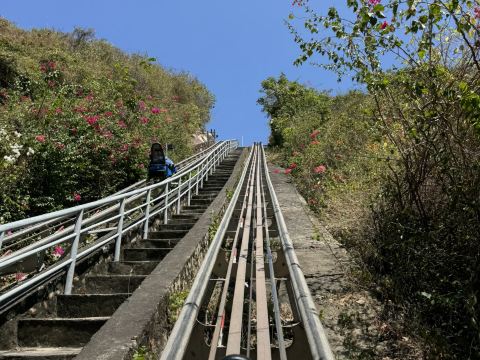 Альпийские горки Vinpearl Нячанг | Trip.com — Нячанг