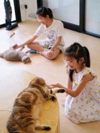 ถูกใจคนรักหมาแมว Zucca - The Pet Sanctuary & Cafe