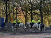 Buckingham Palace: A Royal Experience in the Heart of London
