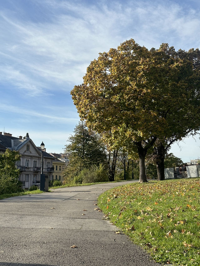 Step into History at Buda Castle