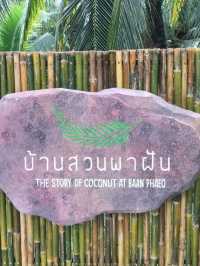 บ้านสวนพาฝัน The Story of Coconut at Baan Phaeo 