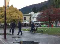 Queenstown นิวซีแลนด์