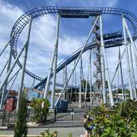 Dive into Adventure: Sea World Gold Coast
