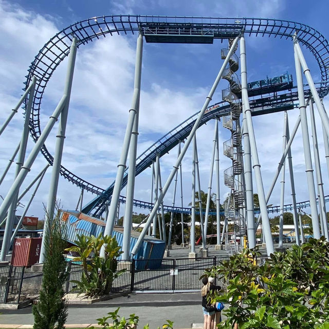 Dive into Adventure: Sea World Gold Coast