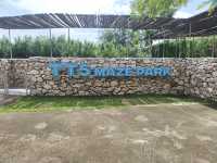 History Meets Adventure: Discovering TT5 and Its Fun Maze Park