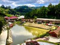 Betong Winter Flowers Garden