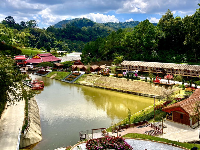 Betong Winter Flowers Garden