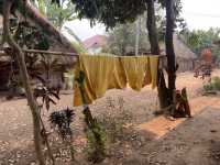 🇱🇦 世界遺産都市まで一泊2日の舟旅in Laos