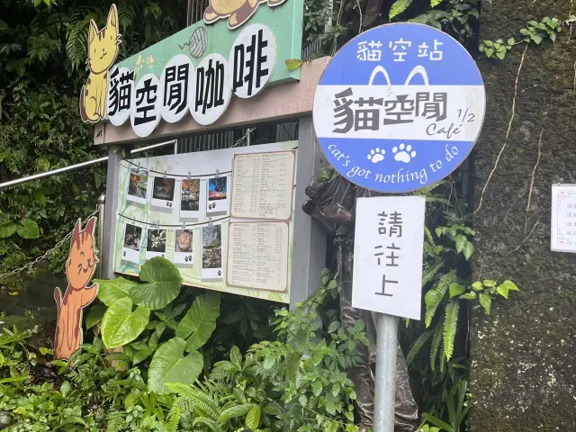 台灣・貓空悠閒品茗之旅!