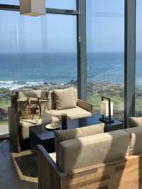 야자수🌴+오션뷰🌊 =경치 좋은 제주 카페 아오오