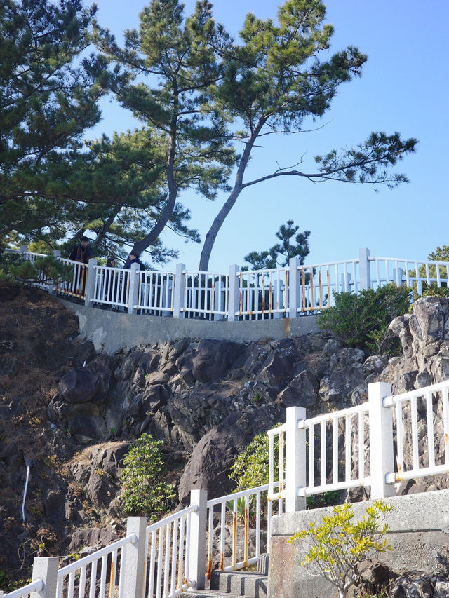 📍海津見神社/高知