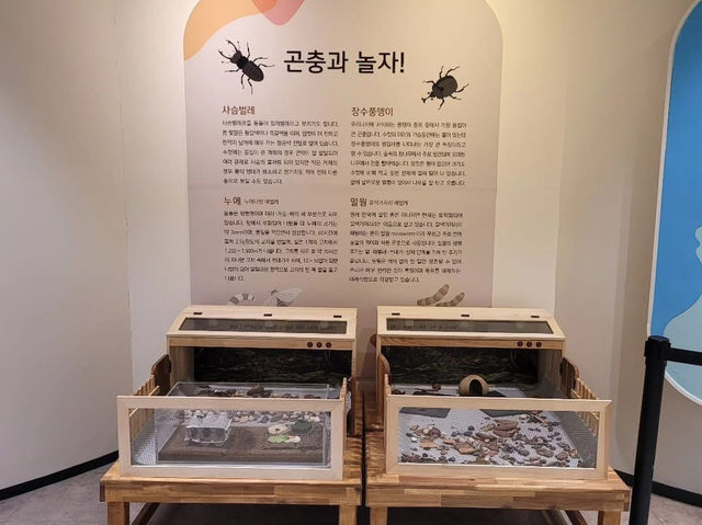 경상북도 상주시 곤충 생태 전시관 입니다.