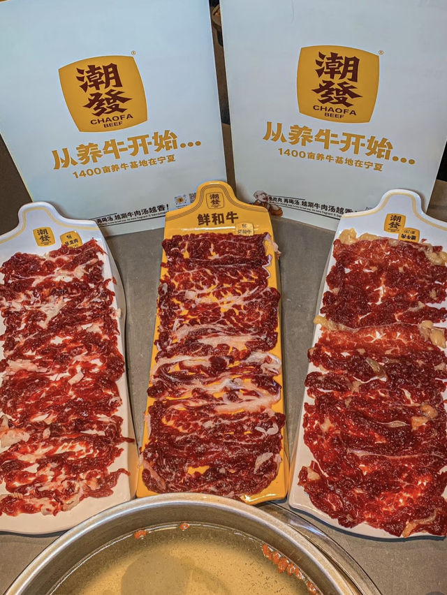 深圳｜潮發潮汕牛肉店 