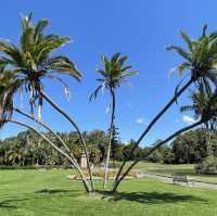 雪梨市中心皇家植物園（Royal Botanic Garden Sydney）