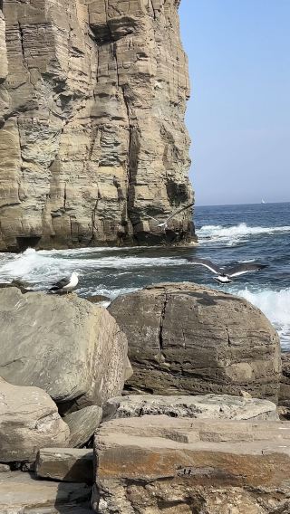 🌊 A perfect hiking idea not far from Vladivostok