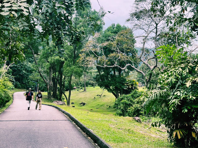 馬來西亞檳城熱門景點推薦：槟城植物园，適合拍照打卡逛街遊玩。