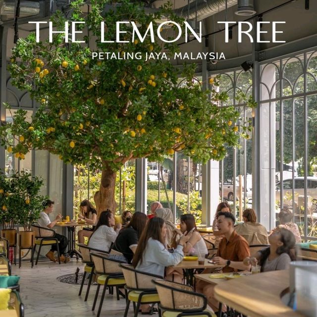 The Lemon Tree Singapore