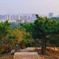 景山公園：在“城市綠肺裡深呼吸” 🌳💨