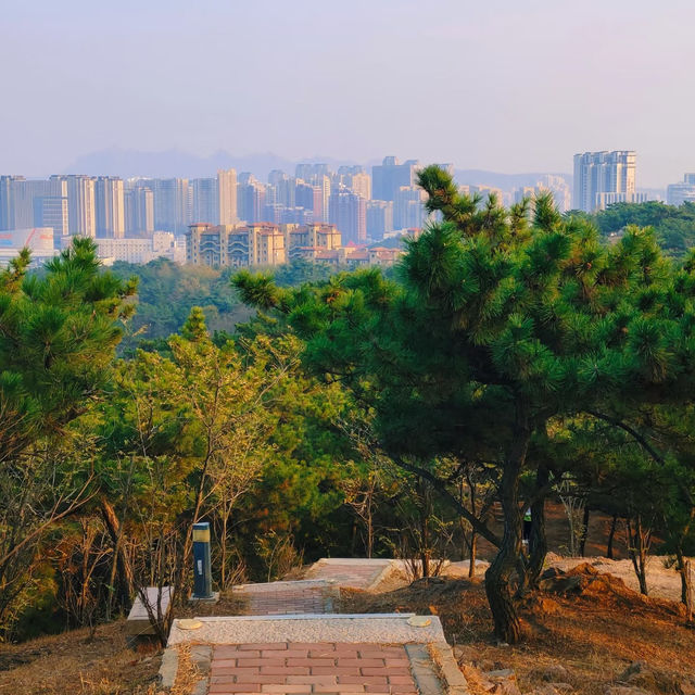 景山公園：在“城市綠肺裡深呼吸” 🌳💨