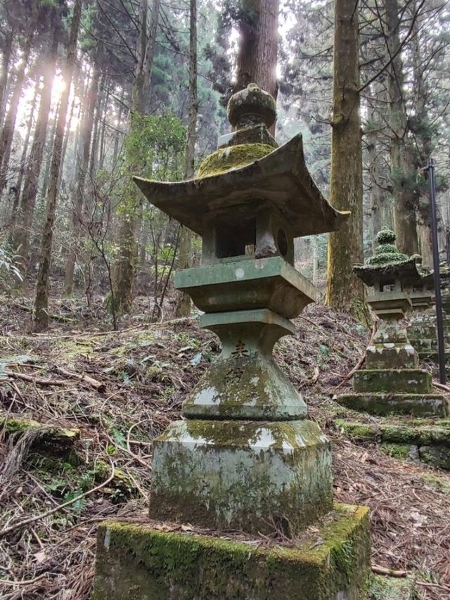幽靜樹林裡簡樸的上色見熊野座神社