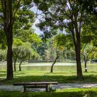 碧湖公園：在“城市綠洲裡尋找孩子的歡笑” 🌊🌳