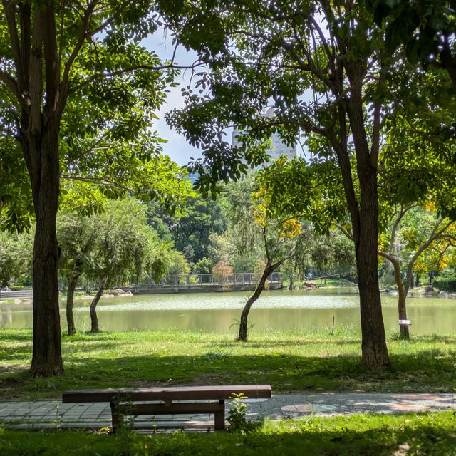 碧湖公園：在“城市綠洲裡尋找孩子的歡笑” 🌊🌳