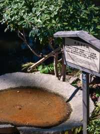 【広島】お花見や紅葉狩りにもよい庭園