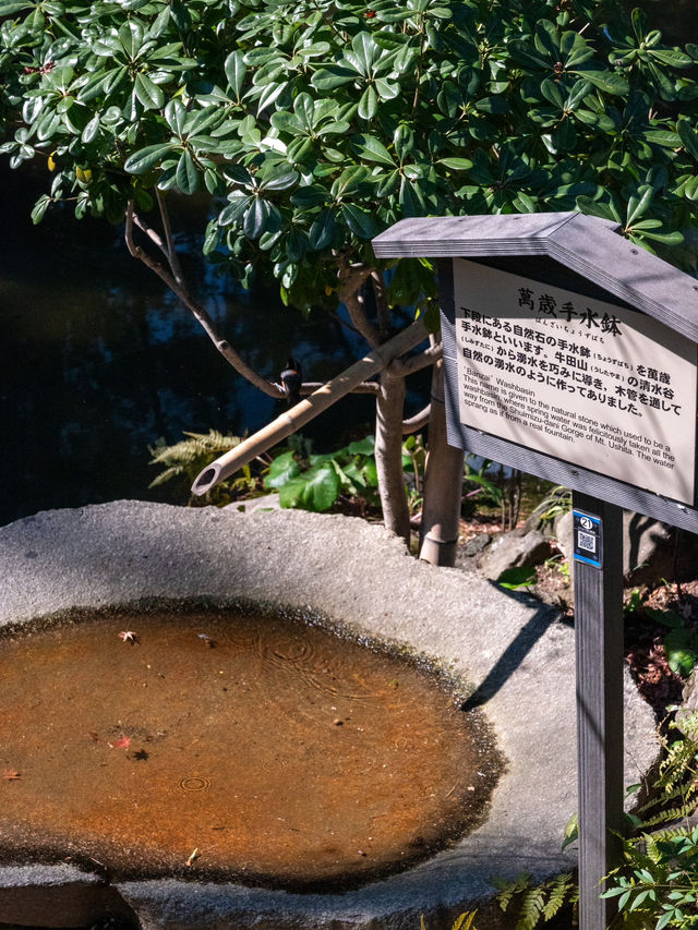 【広島】お花見や紅葉狩りにもよい庭園