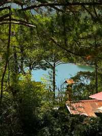 STUNNING BUDDHIST TEMPLE IN DALAT.